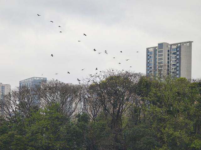 长沙市月湖公园