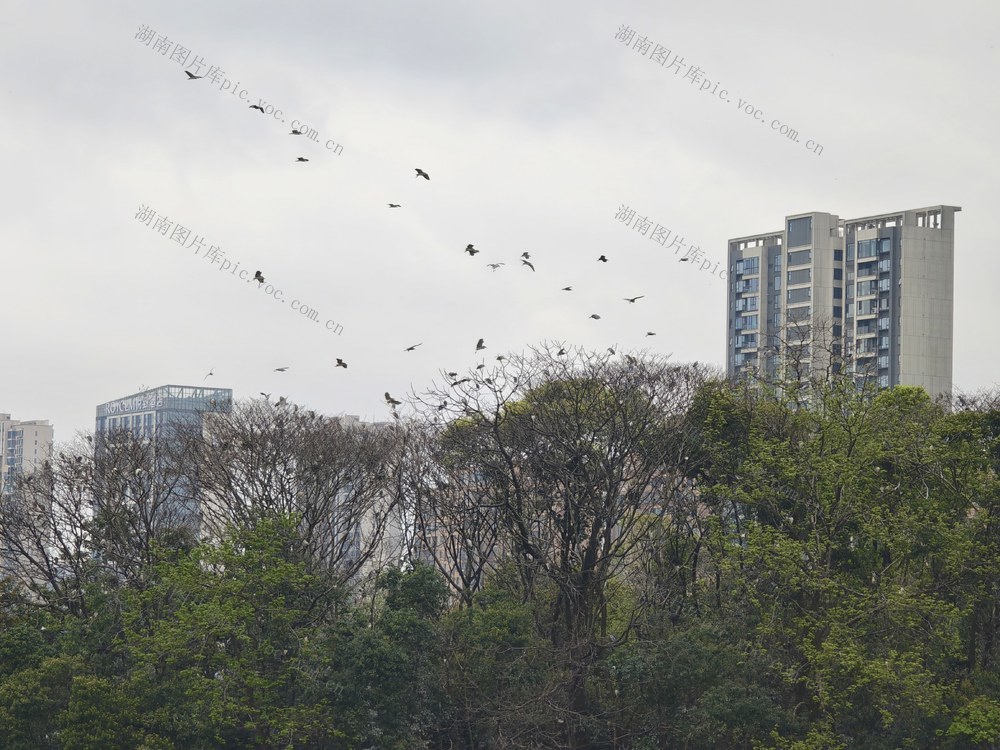 长沙市月湖公园