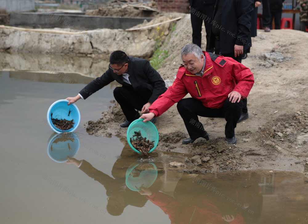 湖南桂东 小龙虾 特色养殖 乡村振兴
