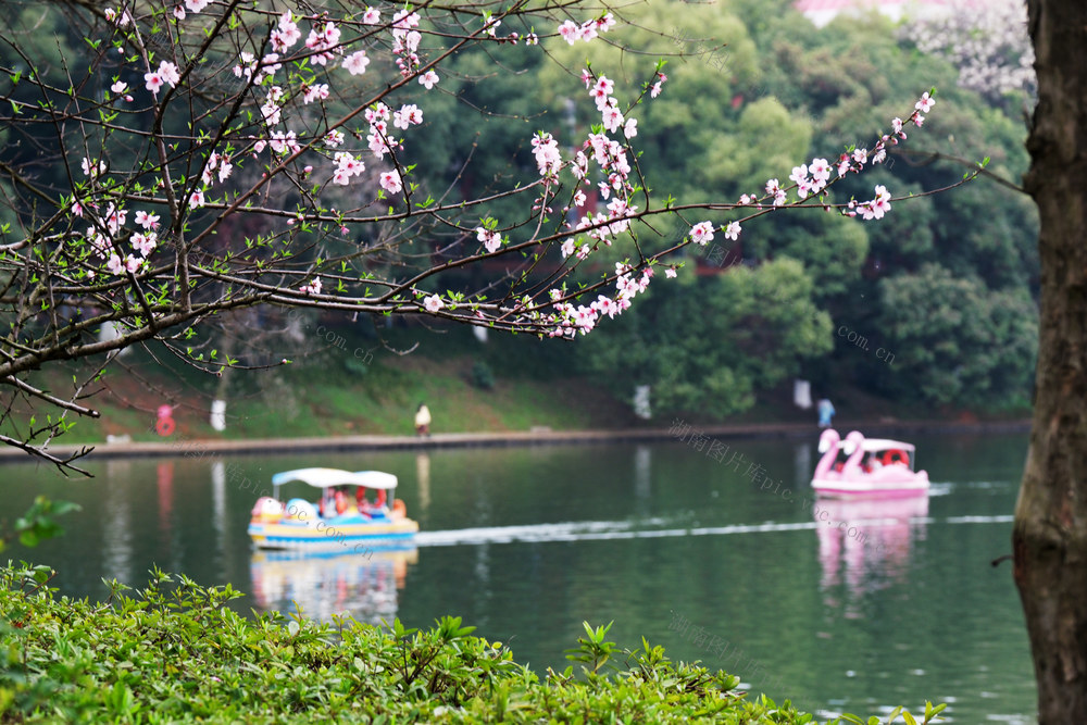 乐享春光，湖南烈士公园
