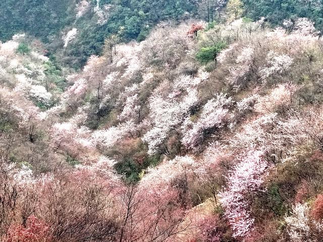 多耖囗樱在