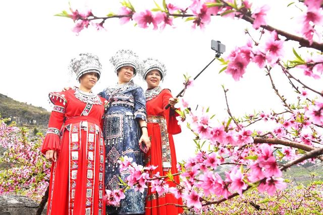 赏花正当时