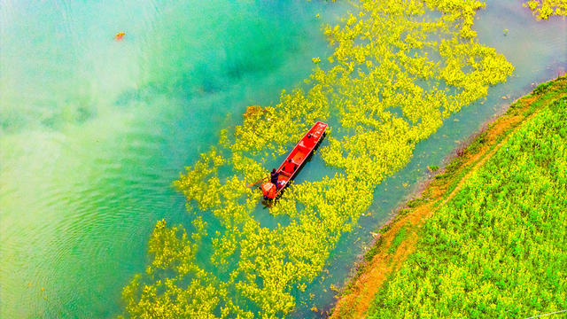 农村  水库  种植  油菜  怀化辰溪
