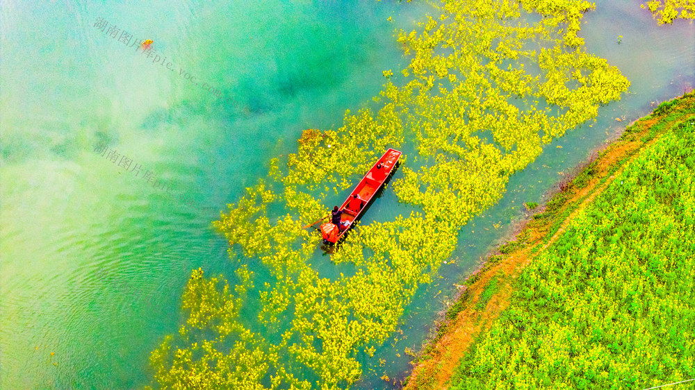 农村  水库  种植  油菜  怀化辰溪