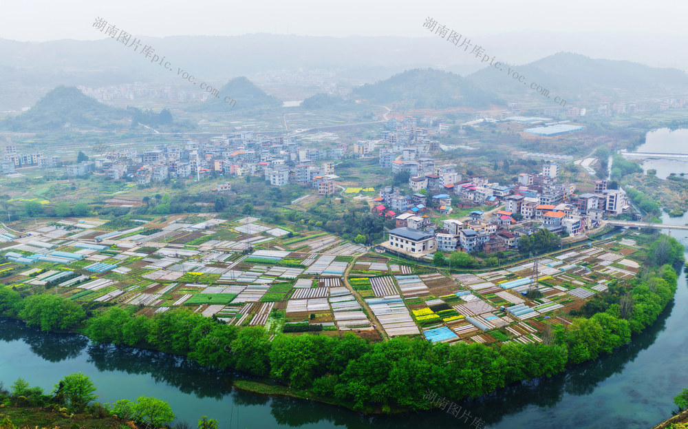嘉禾：蔬菜村  田园美