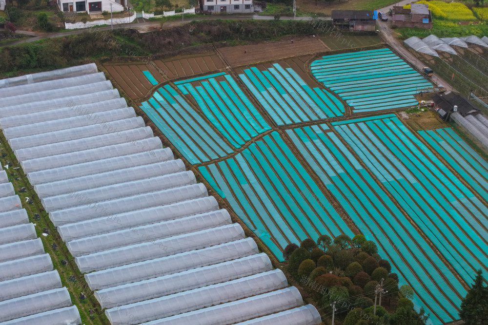 田园、农业、大棚、春天、农事