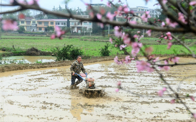 春耕 犁田 翻耕 农田 水田 种粮 田间 农事 生产 农时 忙碌 农民 农业 农机