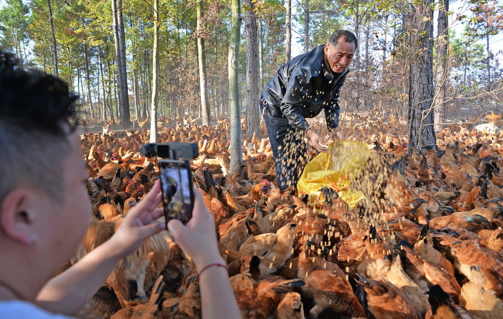 邵阳县 罗城乡 保和村 驻村帮扶 拍摄 视频