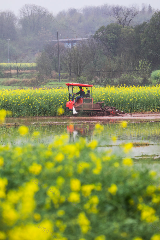 春耕 田间 春天 农忙 衡阳