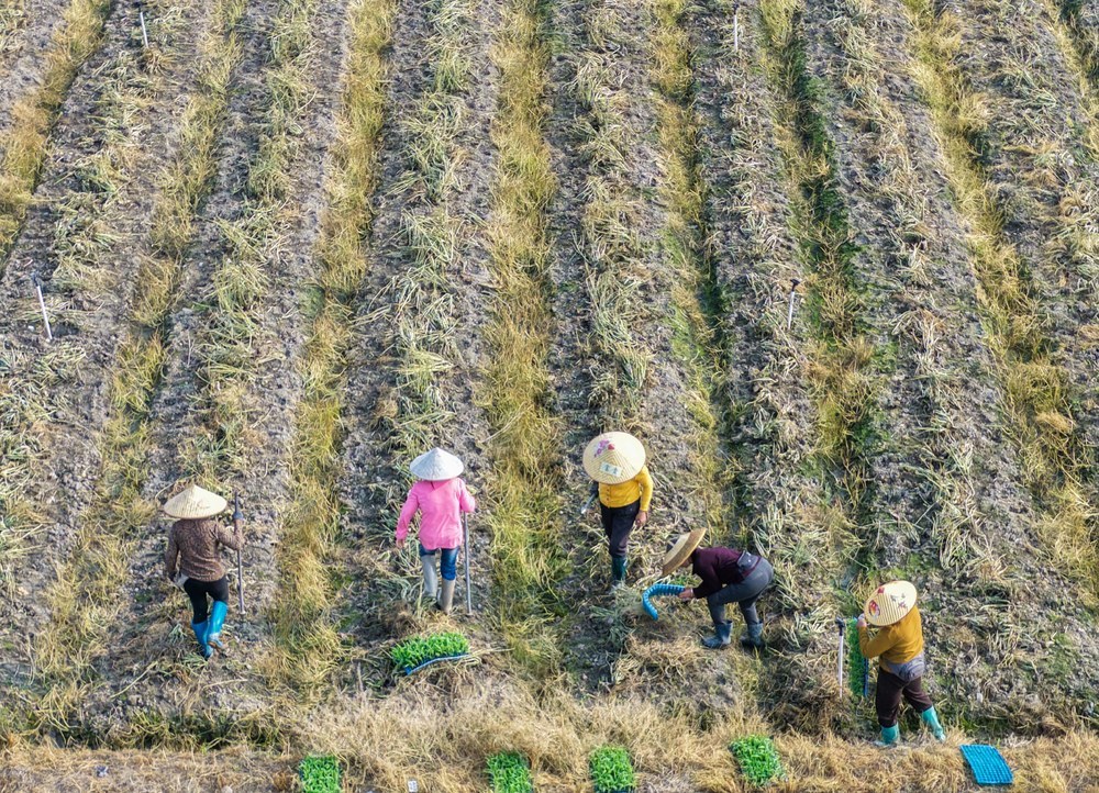 湖南道县：春耕时节农事忙