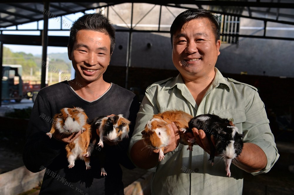 邵阳县 罗城乡 保和村 李外华  豚狸