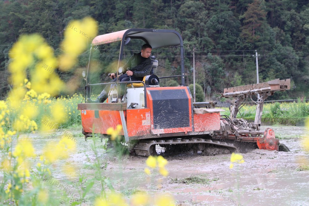 春耕、春种、耕田、农事、农机
