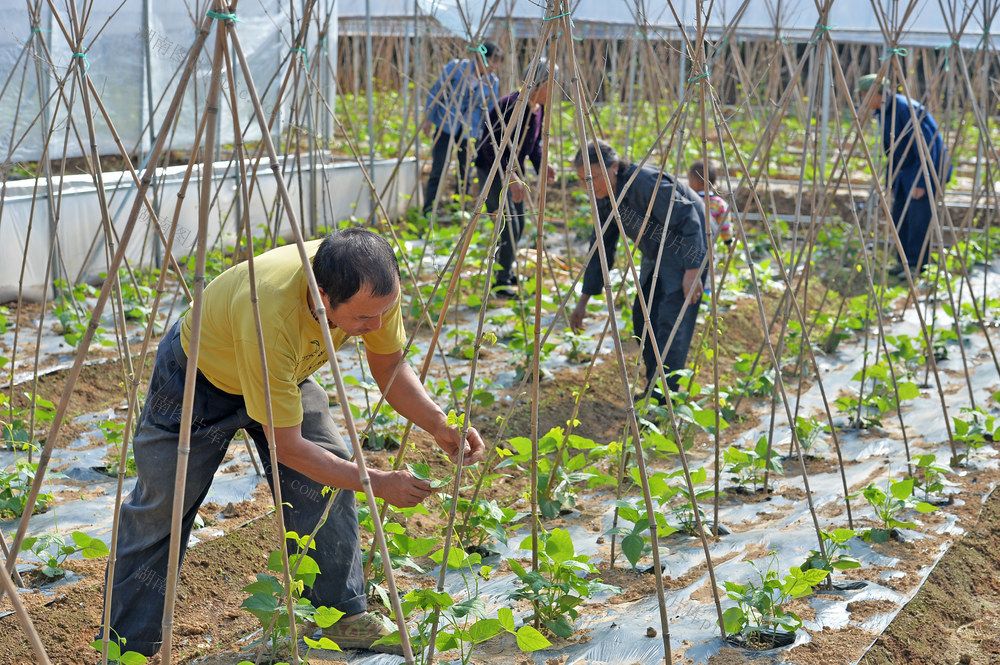 邵阳县 罗城乡 保和村 对口帮扶 驻村帮扶