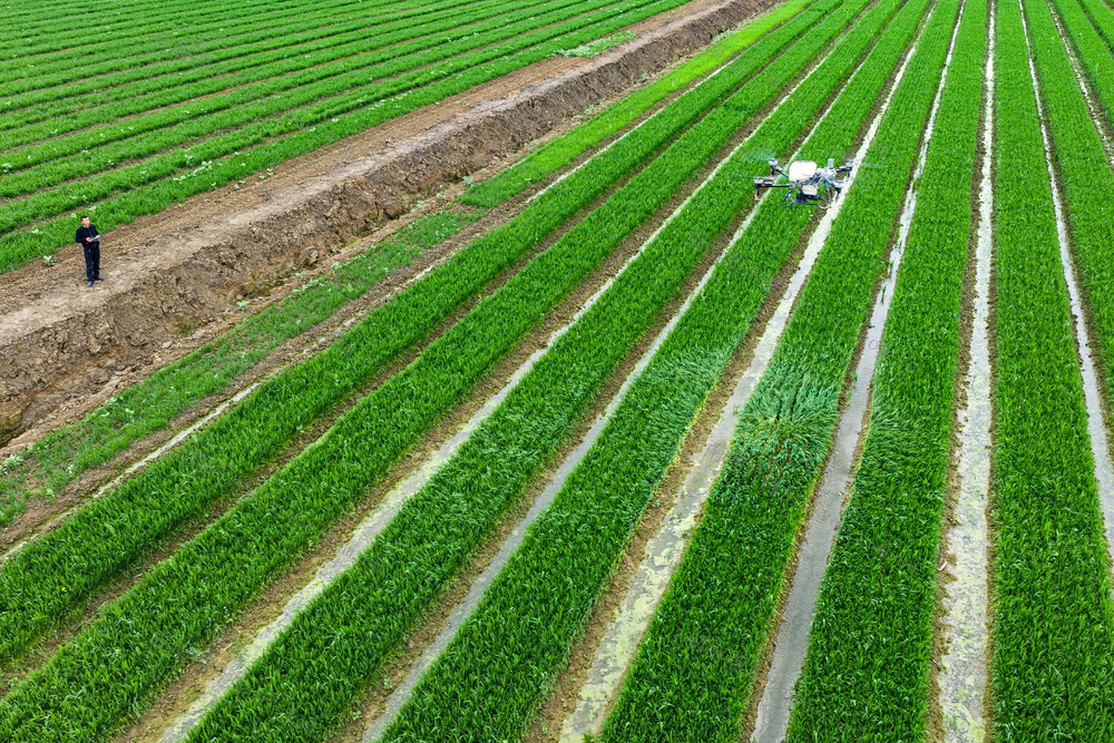 农业 科技 春耕生产 无人机