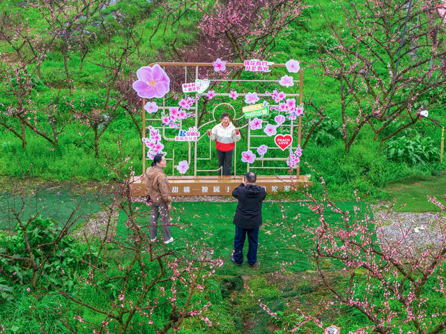 旅游  桃花  春色