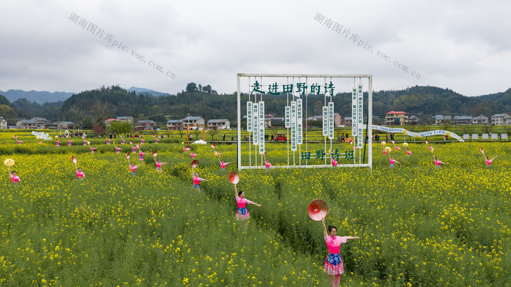 乡村 文旅 春光