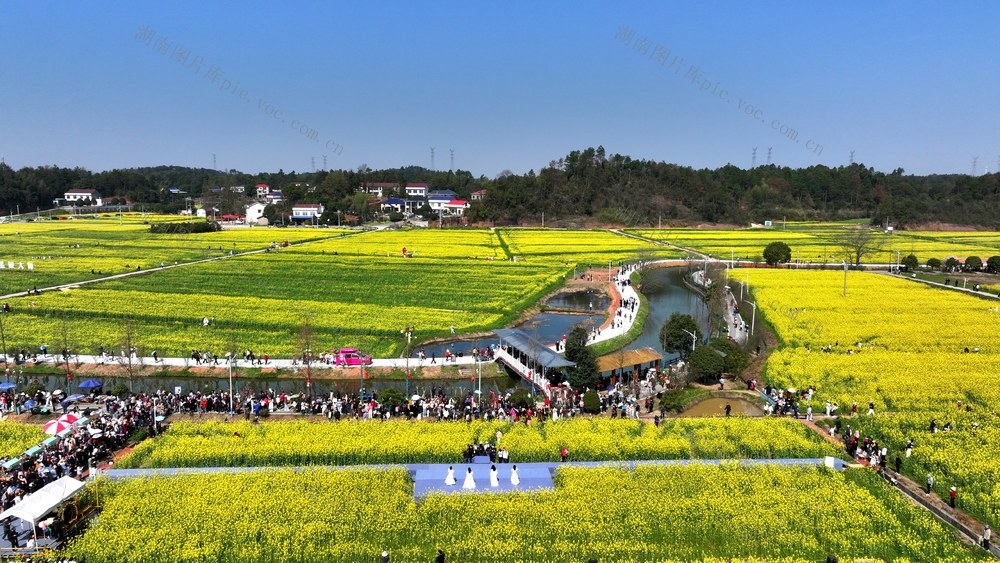 花海
