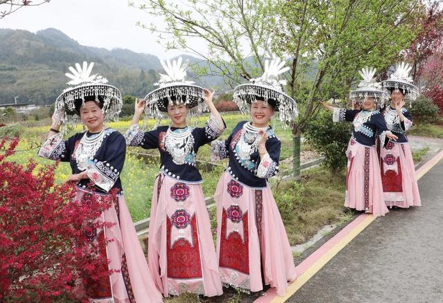    踏青赏花     乐享春光