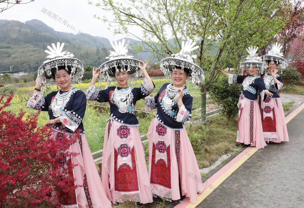    踏青赏花     乐享春光