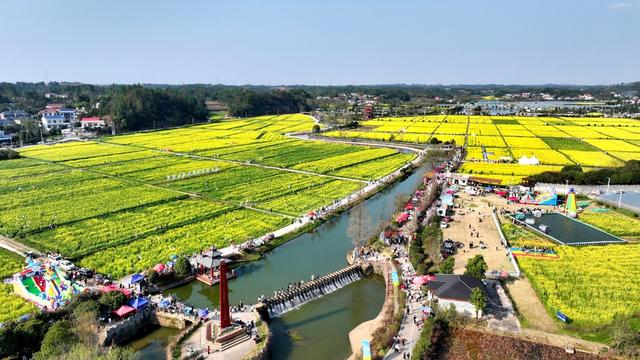 花海