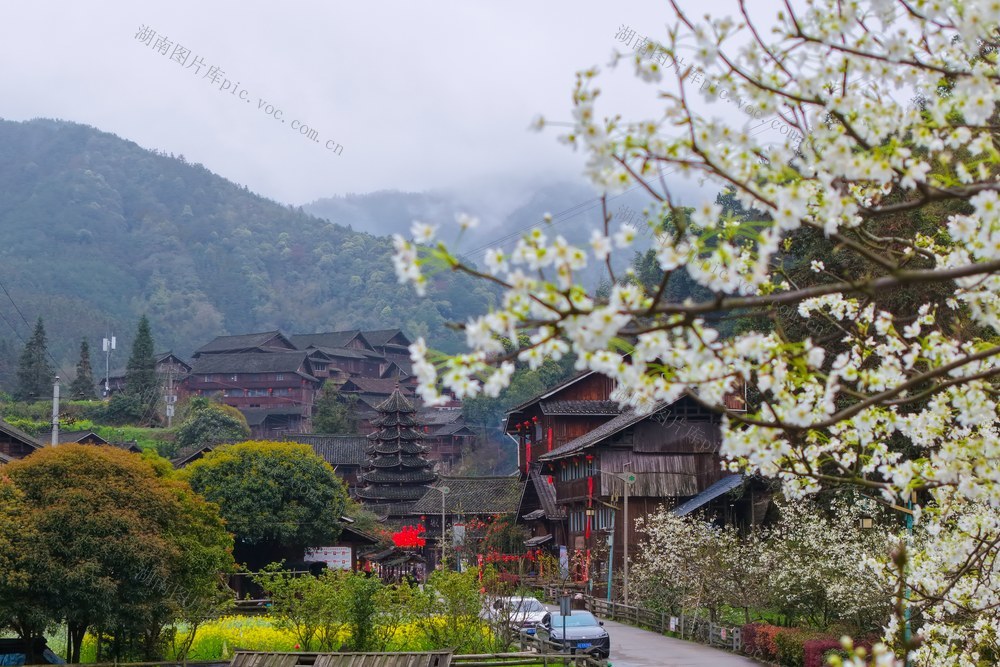 乡村、春天、传统村落、农村、古村 