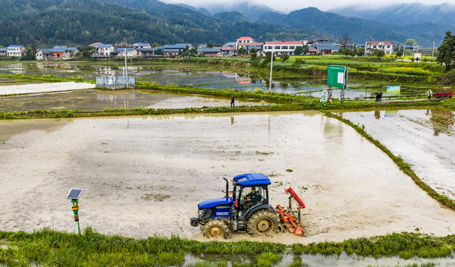 农业  农村  农田  春耕  育秧