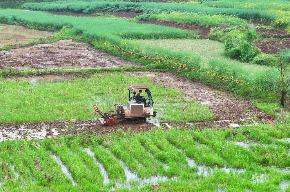 春耕