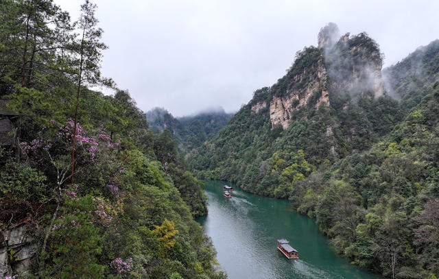 张家界 宝峰湖 旅游 春色 云雾