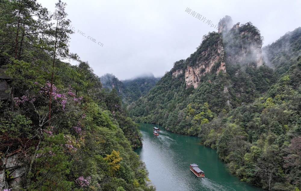 张家界 宝峰湖 旅游 春色 云雾