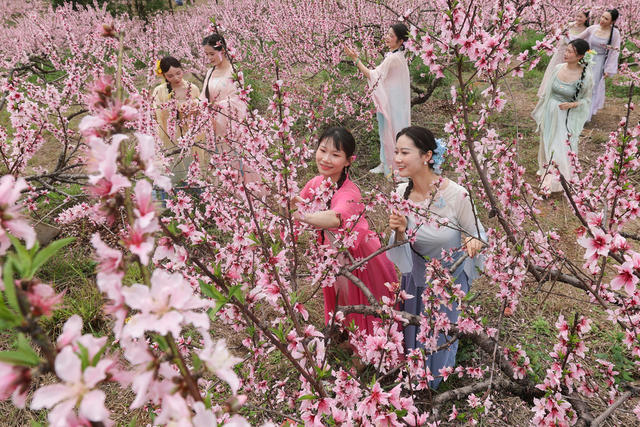 临武县---认购果树  促农增收