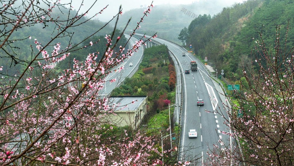桃花 高速公路