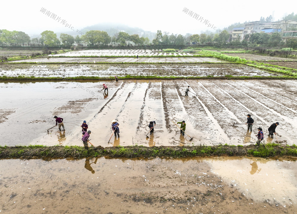 春耕  农忙  育秧  备耕  春播