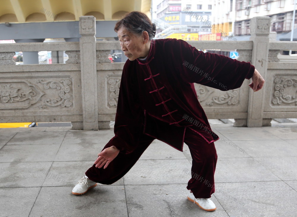 老太口拳术口规范