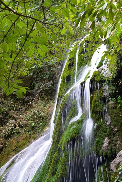 生态康龙，天然氧吧。