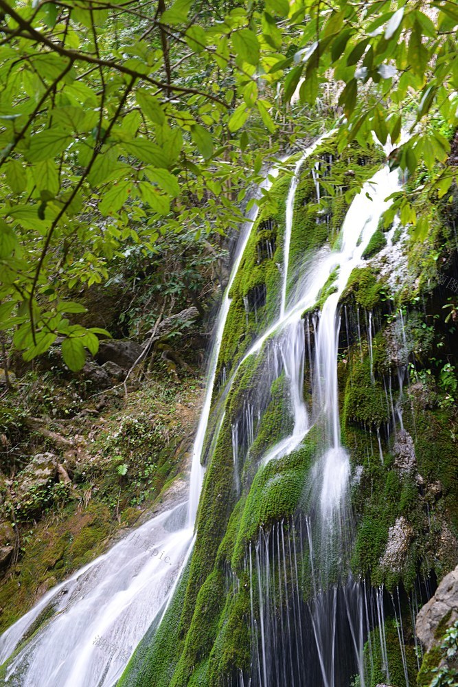 生态康龙，天然氧吧。