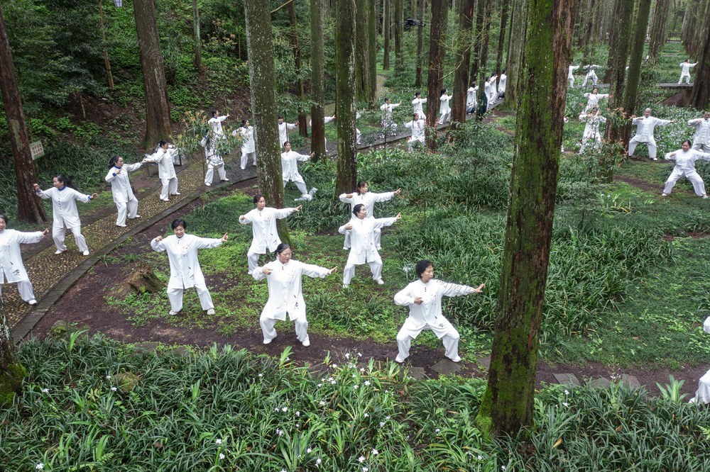 太极  康养  春色  梨花  文旅   运动  