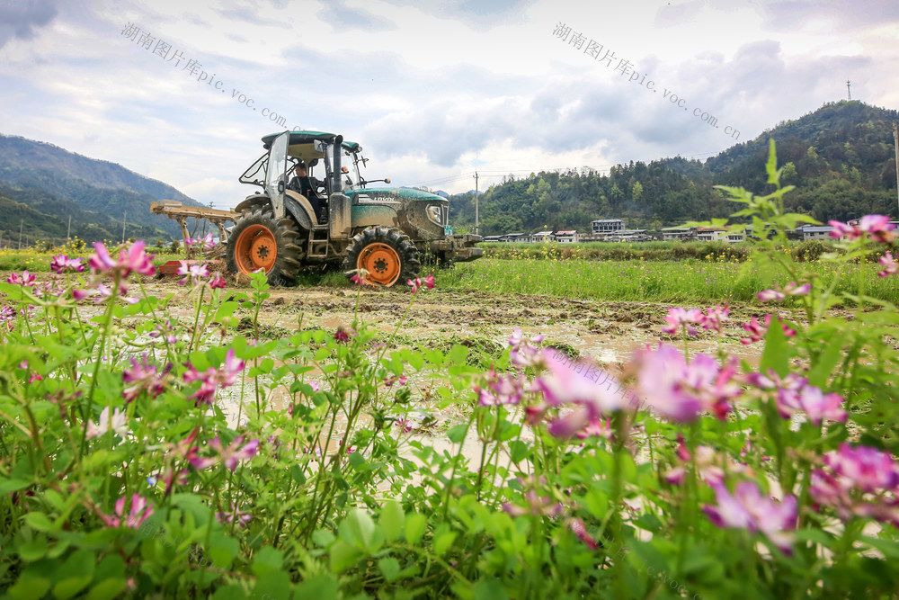 湖南，龙山，花香，农事，春耕，农机，耕作