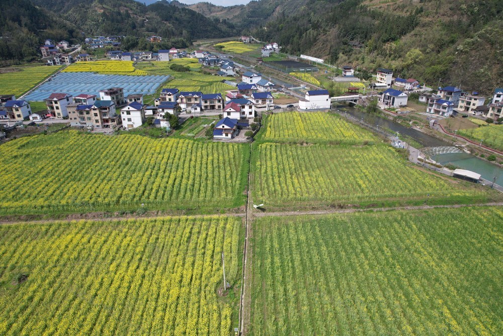 产业兴   田园美