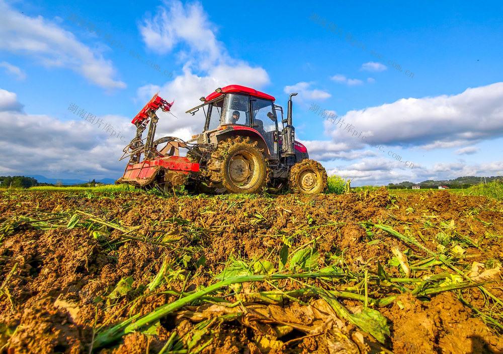 湖南道县：春耕正当时