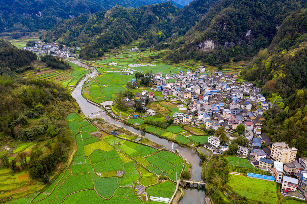 田园  乡村  春天  绿色  吉首  湘西