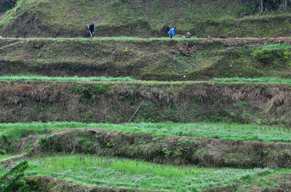 梯田 翻耕 景象