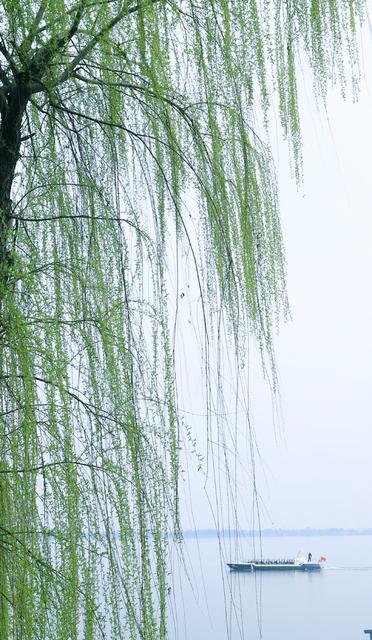 阳春三月，常德市柳叶湖春意盎然
