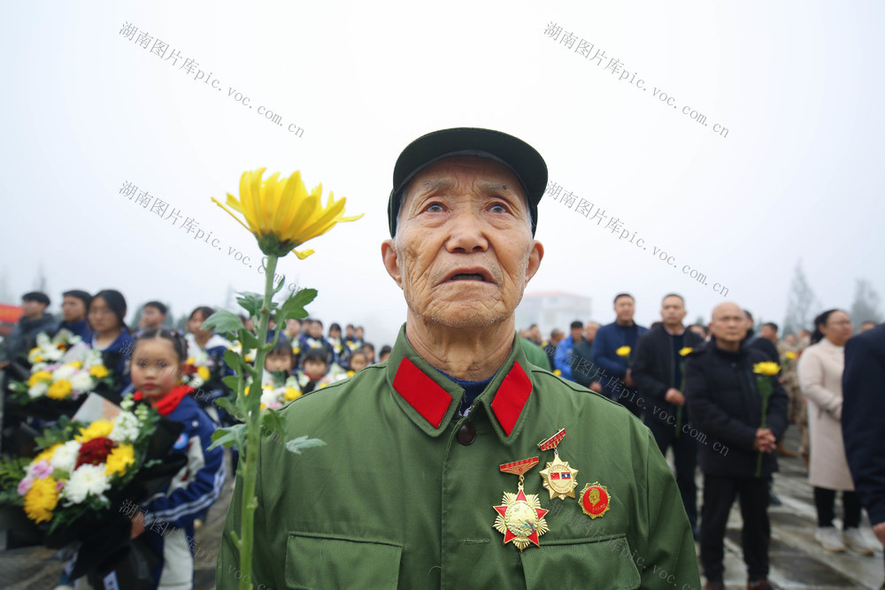 清明 爱国主义教育 祭英烈 献花 菊花 默哀 