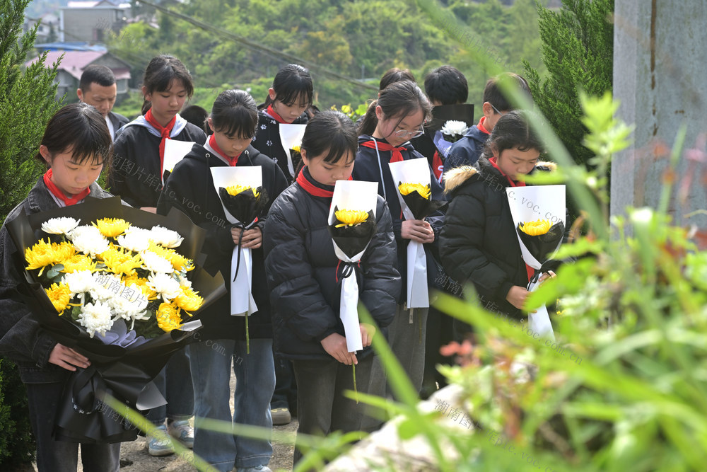 清明节,祭扫活动,祭奠英烈,献花