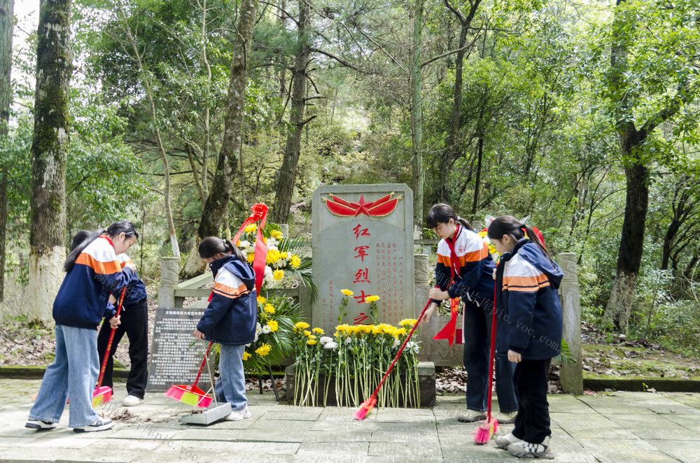 通道 小学 师生 祭扫 墓 缅怀 英烈
