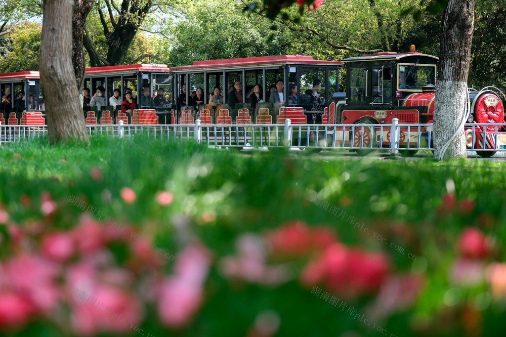 春和景明，享春光