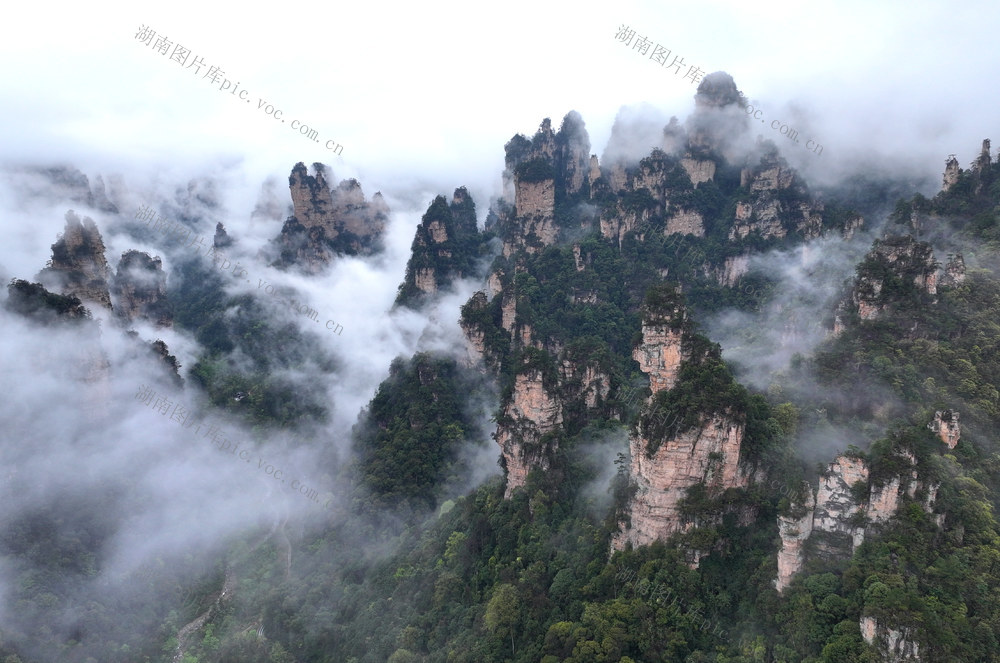 云海 张家界 峰林