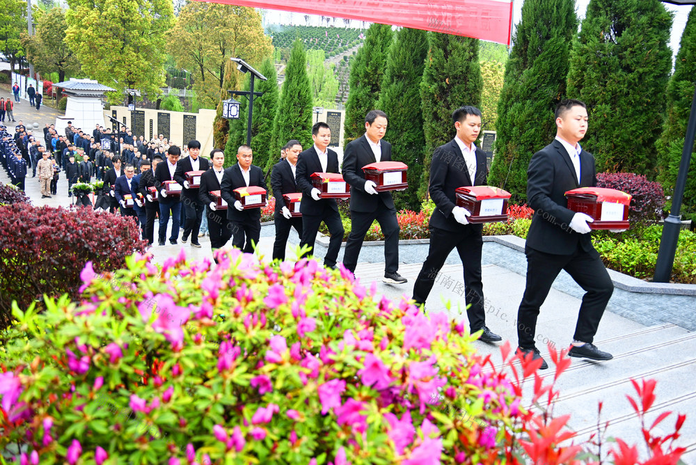 清明节   祭祀  烈士  棺椁  陵园 