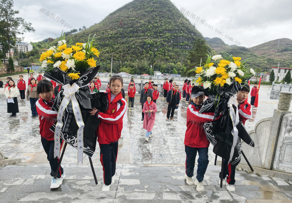 清明节 烈士园 献花 城步 党员干部 学生