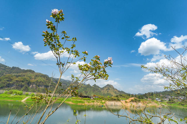 栖凤湖    春和景明